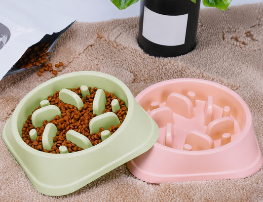 PawPeak™ Slow Feed Bowl